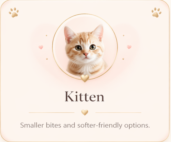 Kitten